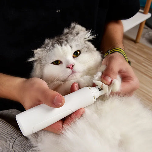 Pawlor Silent Nail Grinder