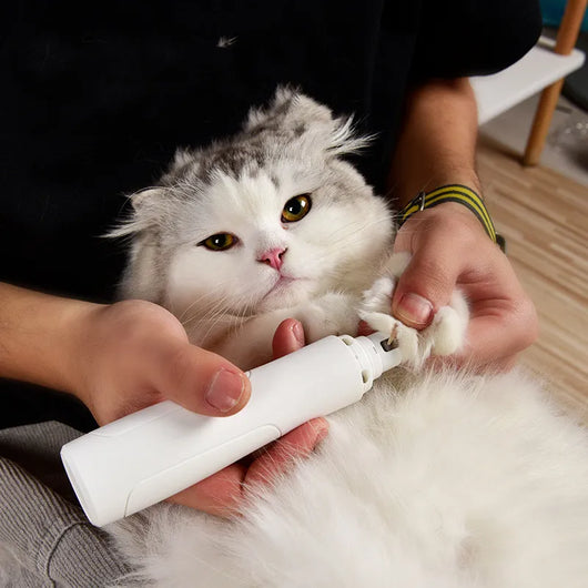 Pawlor Silent Nail Grinder