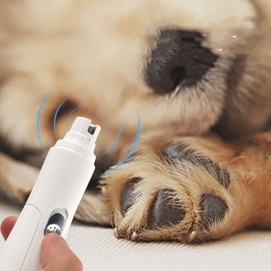 Pawlor Silent Nail Grinder